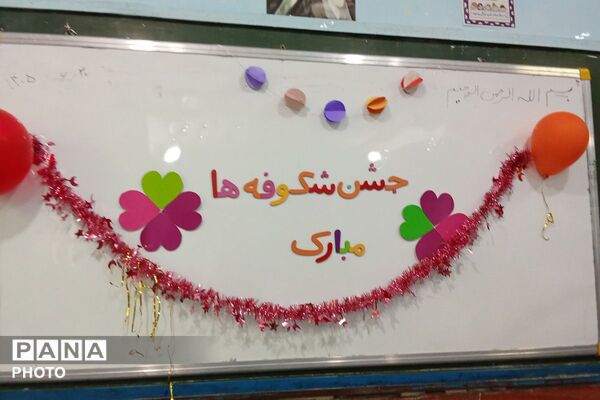 جشن شکوفه ها؛ در قاب پانا