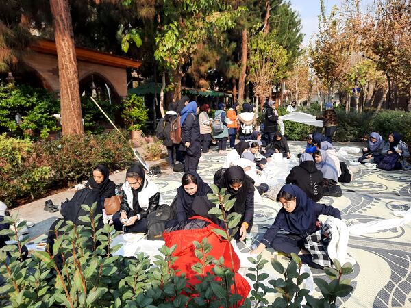 اردوی تمشک در تهران