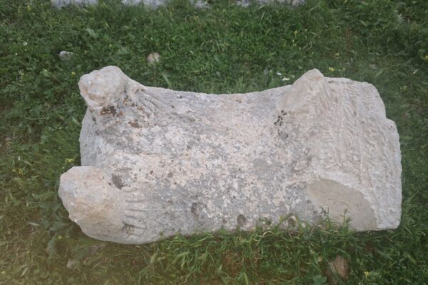 قبرستانی تاریخی و سرسبز به قدمت چند صد ساله در فارس