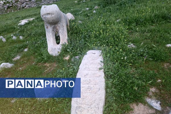 قبرستانی تاریخی و سرسبز به قدمت چند صد ساله در فارس