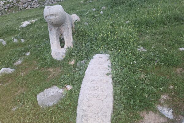 قبرستانی تاریخی و سرسبز به قدمت چند صد ساله در فارس