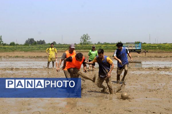 جشنواره فرهنگی و ورزشی بازی‌های شالیزاری در گلوگاه 