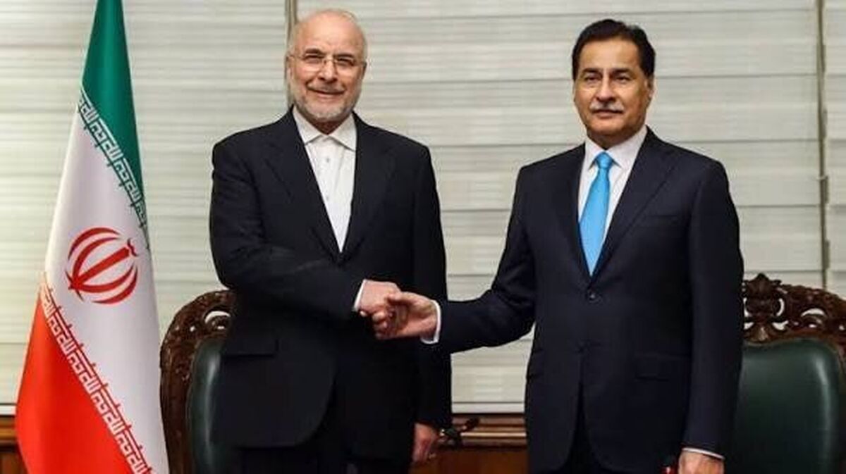 دعوت قالیباف از رئیس مجلس پاکستان برای حضور در آیین وداع با پیکر رهبر انقلاب