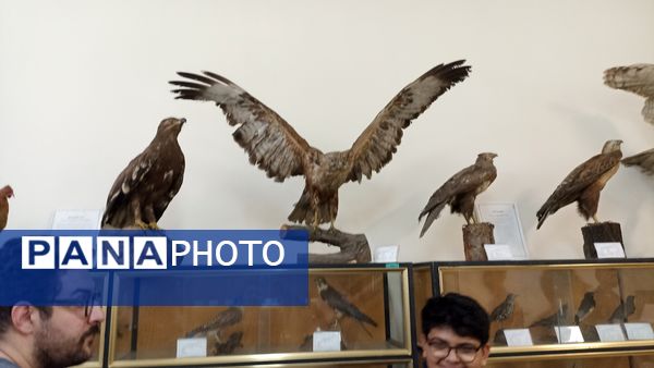 بازدید خبرنگاران پانا از موسسه گیاه شناسی کشور 