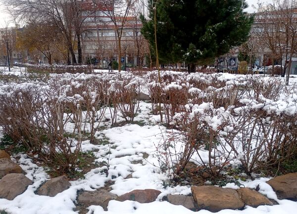 بارش برف در شهر زیبای مشهد 