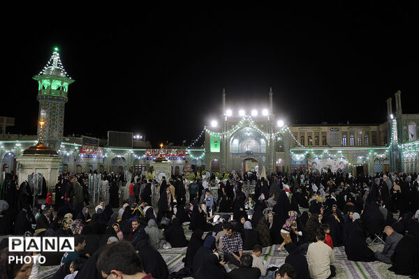گل آرایی ضریح مطهر حضرت معصومه(س) در شب میلاد امام رضا(ع)