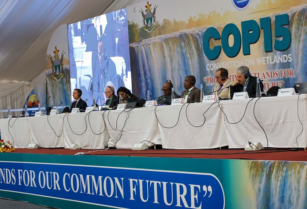 نماینده ایران «نائب رییس کنفرانس» نشست عمومی کشورهای متعهد کنوانسیون رامسر شد