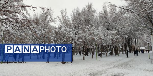 سکوت برفی بروجن، قلب شهر را به تپش انداخت