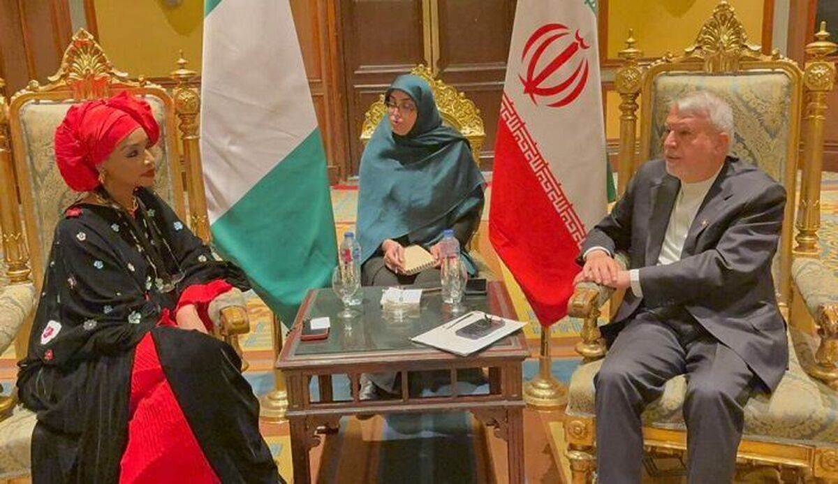 تاکیدصالحی‌امیری بر طراحی و اجرای نقشه راه دیپلماسی فرهنگی با نیجریه