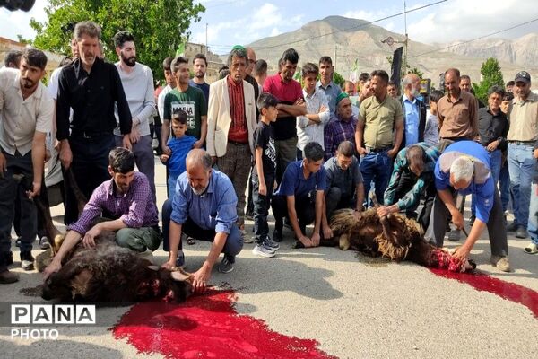 بازگشت حجاج شهربار از مراسم معنوی حج