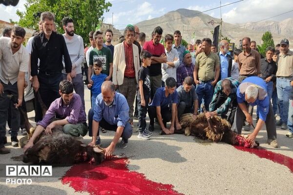 بازگشت حجاج شهربار از مراسم معنوی حج