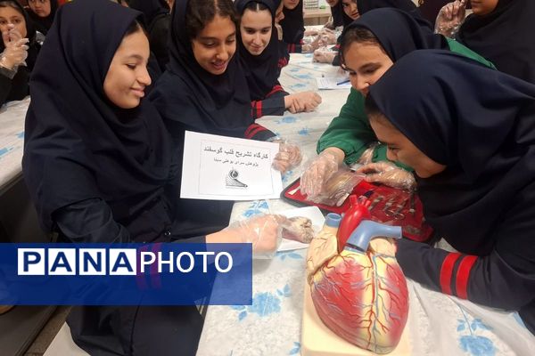 کارگاه تشریح قلب برای دانش آموزان فرزانگان شهرستان ملارد