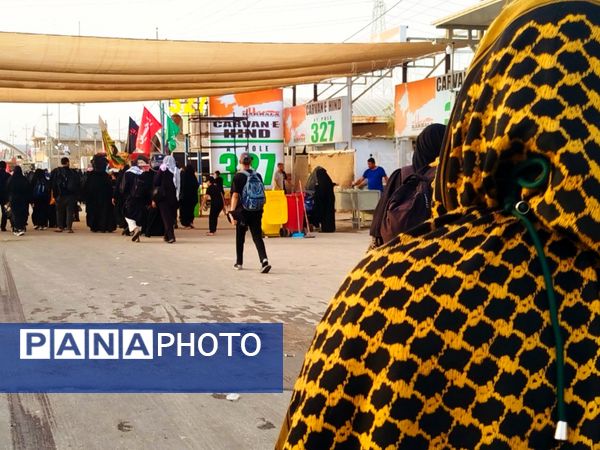 میلیون‌ها گام عاشقی؛ روایت حماسه اربعین حسینی از نجف تا کربلا