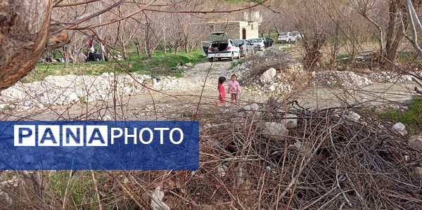 رویداد آیین باستانی سیزده بدر نیشابور در روز طبیعت از  قاب خبرنگاران پانا