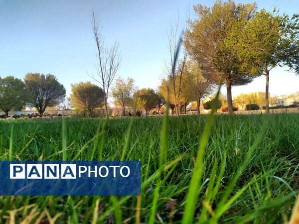 فصل بهار؛ آغاز پادشاهی سبزه و گل‌ها بر شهرستان بروجن