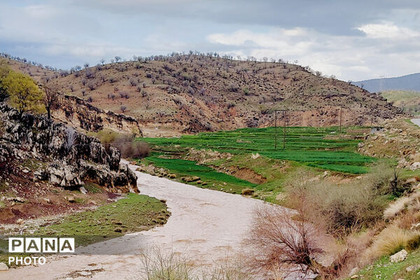 بهاریِ رنگارنگ در پل‌بریده