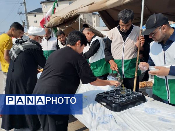 برپایی موکب امام رضا(ع) در میاندورود 