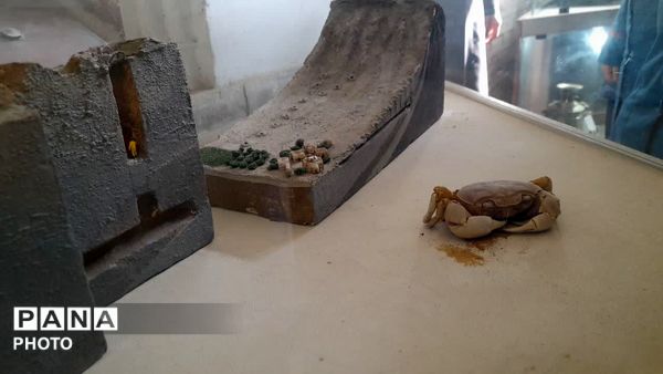 بازدید آموزشی دانش‌آموزان دبیرستان امام خمینی (ره) از موزه آب و طرح داناب