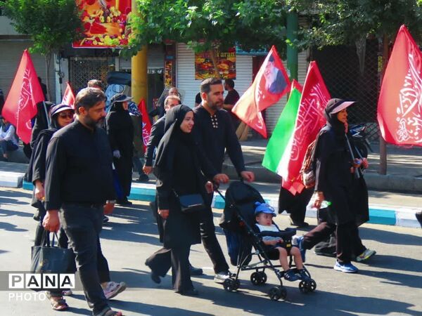 نبض دلتنگی در مسیر عاشقی
