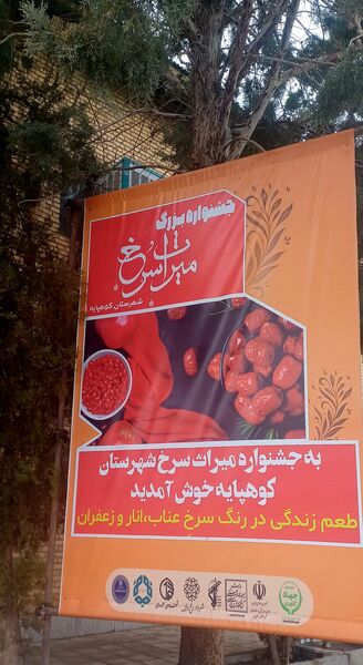 جشنواره «میراث سرخ»: جشنواره‌ای برای معرفی هویت و محصولات کشاورزی شهرستان کوهپایه
