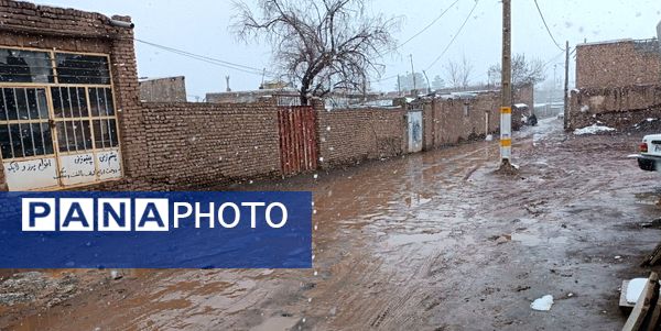 نسر در آغوش برف بهاری؛ زیبایی طبیعت دوچندان شد 