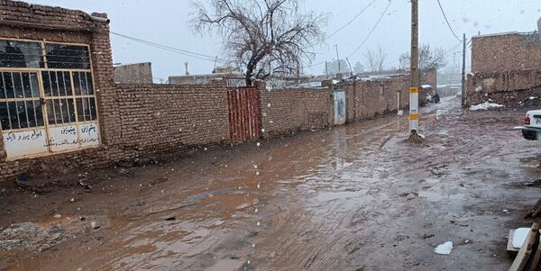 نسر در آغوش برف بهاری؛ زیبایی طبیعت دوچندان شد 