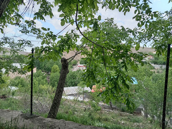 جلوه‌هایی از طبیعت تابستانی خلجستان و جعفرآباد قم