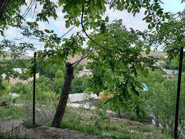 جلوه‌هایی از طبیعت تابستانی خلجستان و جعفرآباد قم