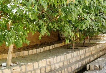 روایت یک روستای خوش‌اقلیم در غرب کاشان