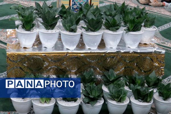 گرامیداشت ولادت بانوی دو عالم در اداره آموزش و پرورش ناحیه یک شهرری