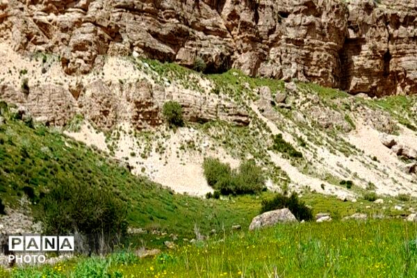 کوه های شهر بار ذخیره‌گاه گیاهان ارزشمند و کم نظیر دارویی 