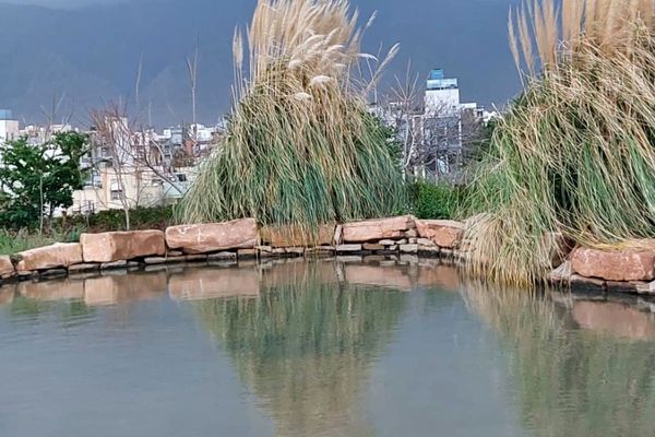 باغ گل ها در شهر گل ها شیراز