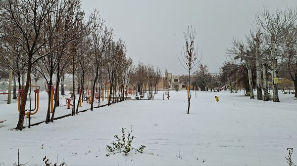 برف بی‌پایان، شهرستان بن را در آغوش سپیدی برد