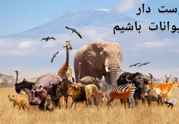 عجایب خلقت در دنیای حیوانات 