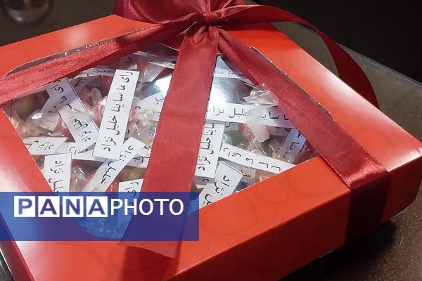 برگزاری انتخابات شورای دانش آموزی در مدارس ناحیه دو شهرری 