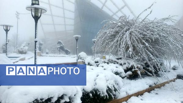 بارش برف در ارتفاعات شاندیز