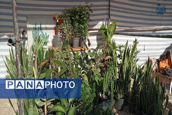 آغاز مراسم روز شهر بار با افتتاح نمایشگاه محصولات محلی و صنایع دستی