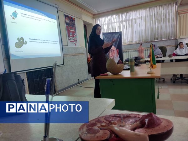 کارگاه آشنایی دانش‌آموزان با سلول‌های بنیادی و کاربردی