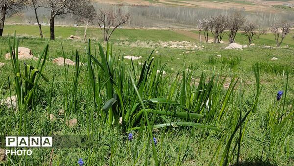 بالاقلی، جایی که روحتان تازه می‌شود