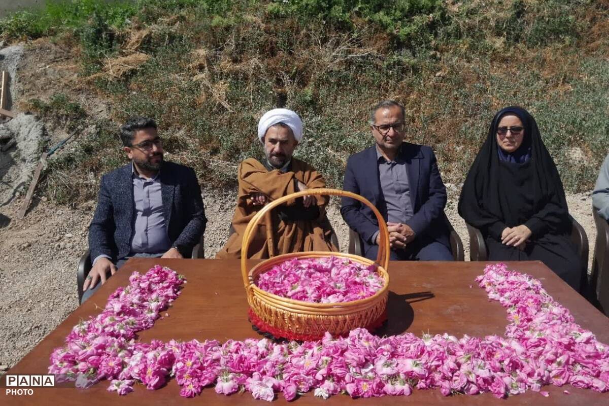 مراسم گلابگیری در روستای طارس شهرستان فیروزکوه