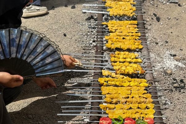 جوانه‌های امید در اردوی پرشور دانش‌آموزی پیشوا
