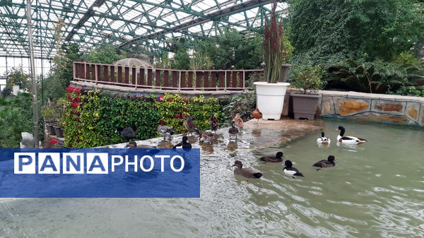 باغ پرندگان قم: جاذبه‌ای بی‌نظیر در قلب کشور