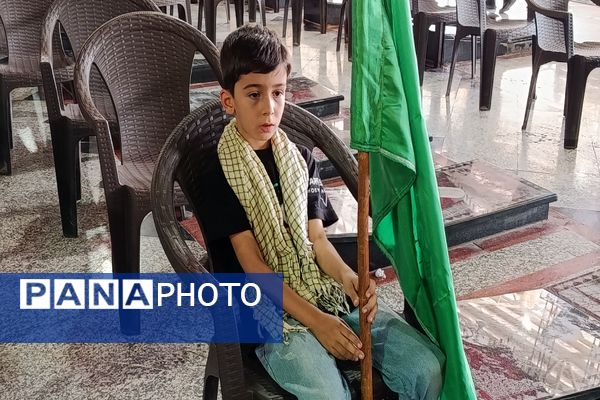 عشق و ارادت مردم شهرستان ملارد به امام رضا (ع) به روایت تصویر