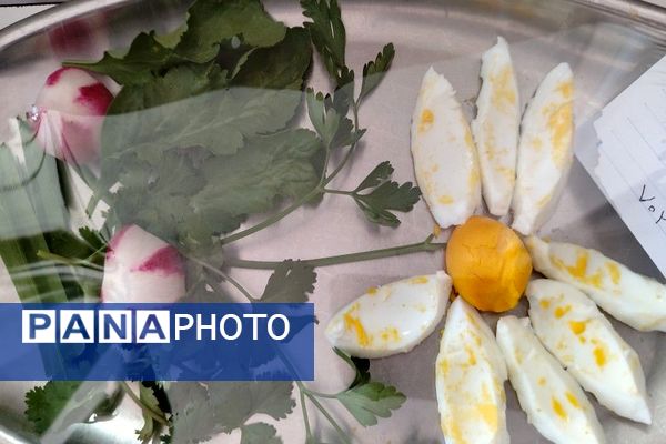 روز جهانی تخم مرغ در دبیرستان شهید مجید دهنوی نیشابور