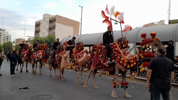 نقش‌آفرینی هنروران تعزیه در کاروان دخیل العباس(ع)
