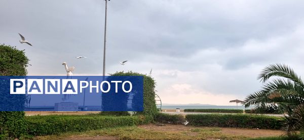 بارش باران چهره بندرعباس را پاییزی و دل‌انگیز کرد