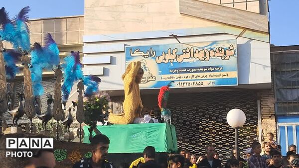 نخل برداری و علم گردانی در روز عاشورا - یزد