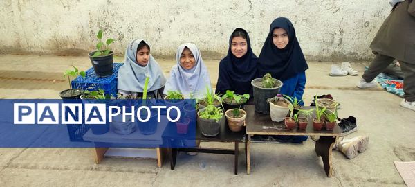  بازارچه مدرسه شهید نجفی فدافن کاشمر