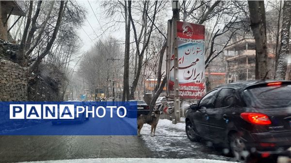 بارش نعمت‌های خداوند در آسمان مشهد