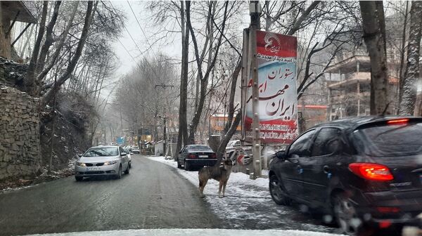 بارش نعمت‌های خداوند در آسمان مشهد